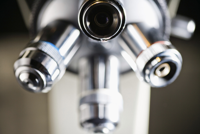 Conozca nuestros servicios de consultor&iacute;a